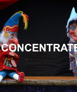 Punch & Judy Concentrate